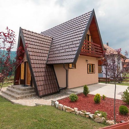 Villa Mountain House Popovic Tara Bajina Basta Esterno foto