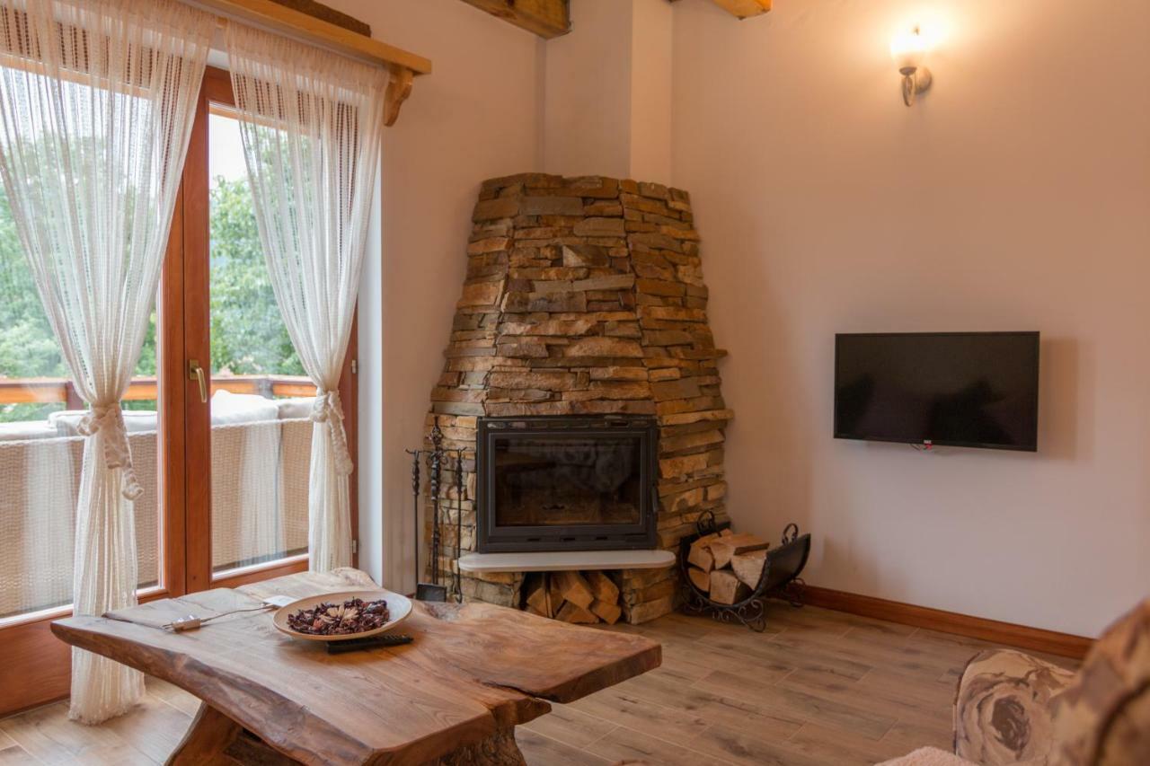 Villa Mountain House Popovic Tara Bajina Basta Esterno foto