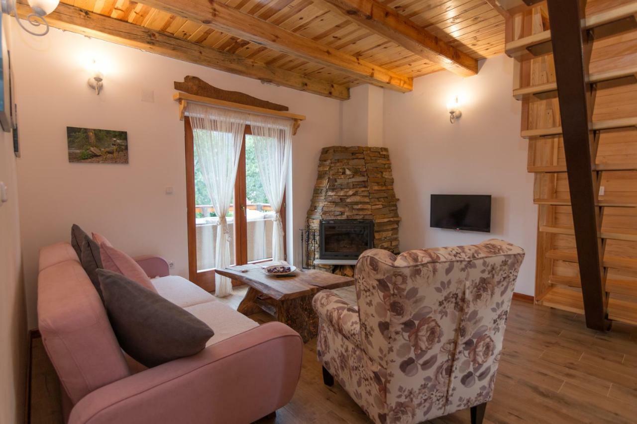 Villa Mountain House Popovic Tara Bajina Basta Esterno foto
