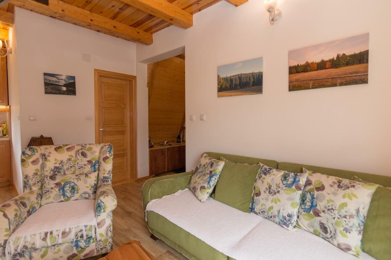 Villa Mountain House Popovic Tara Bajina Basta Esterno foto
